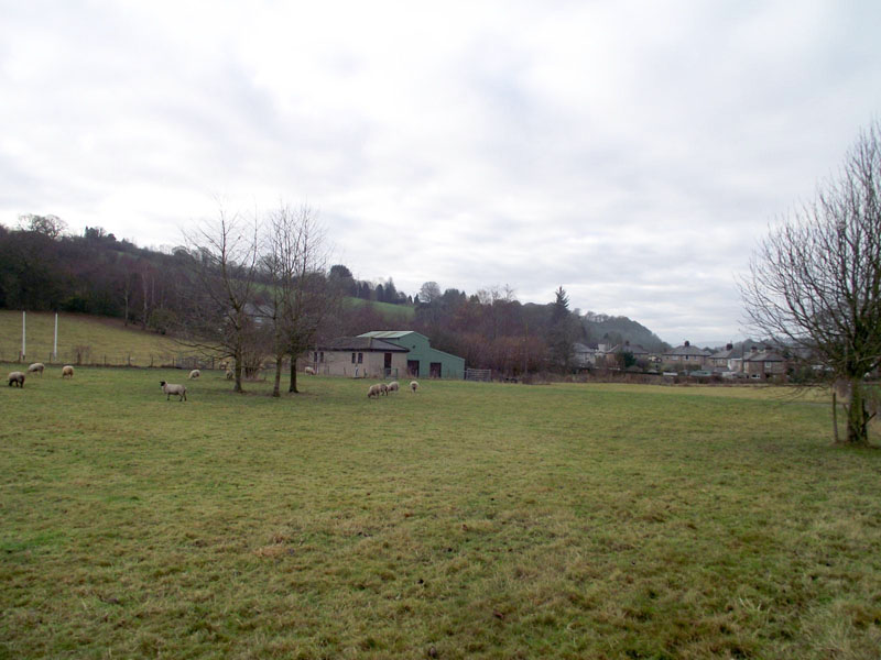 Ty Clwyd campsites